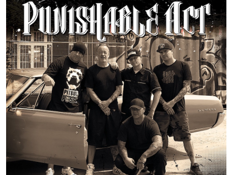 Punishable Act (D) - Record Release